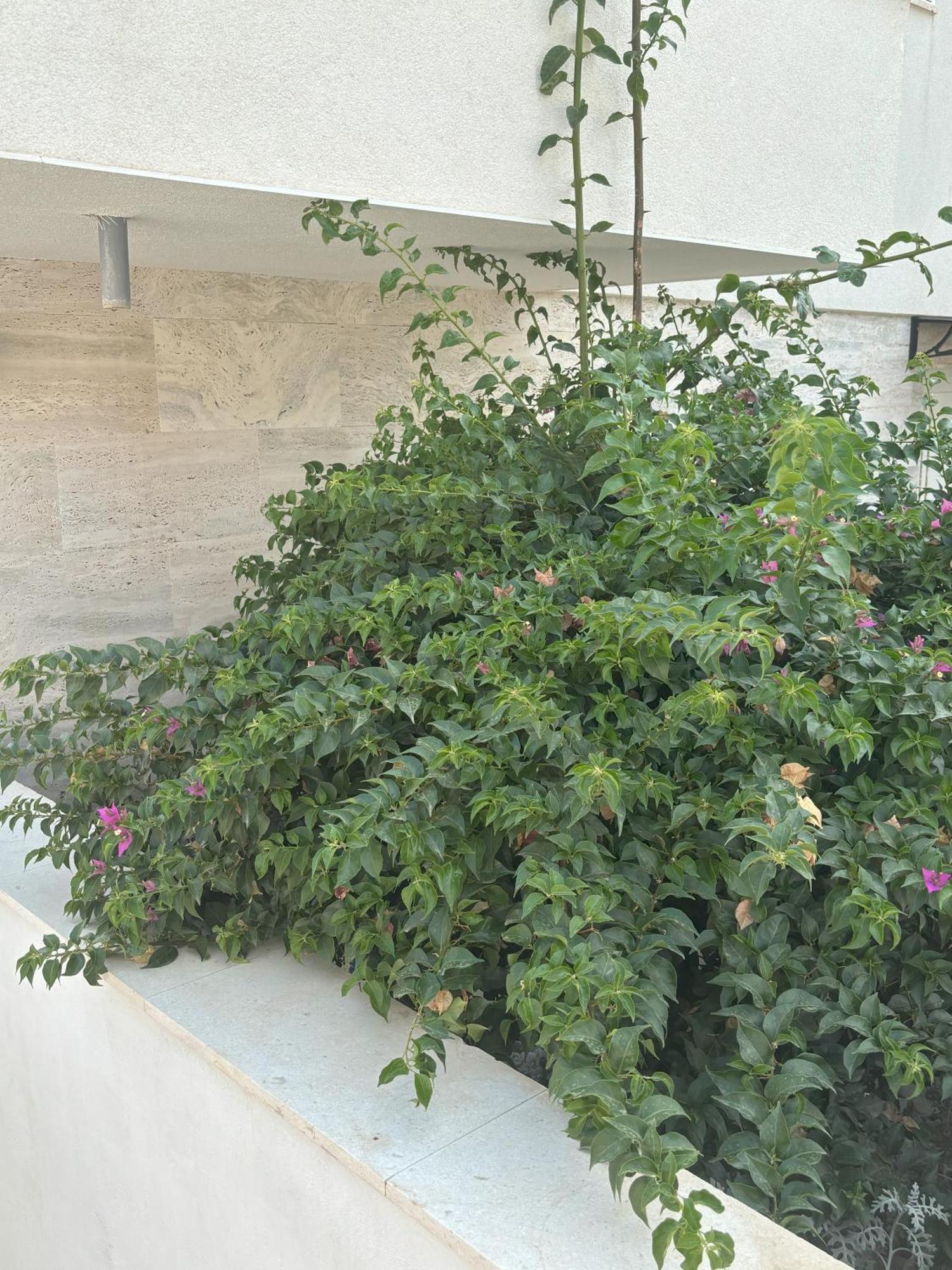 Vila Regina Apartment Paloma With Swimming Pool Jezera Esterno foto